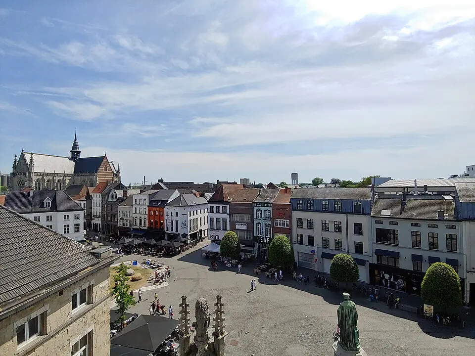 Dakwerken Aalst